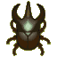 Atlas beetle