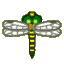 Banded dragonfly