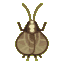 Bell cricket