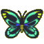 Birdwing butterfly