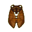 Brown cicada