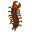 Centipede