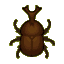 Dynastid beetle
