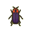 Firefly