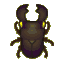 Giant beetle