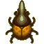 Hercules beetle