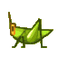 Long locust