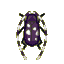 Longhorn beetle
