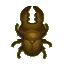 Miyama stag beetle