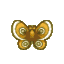 Moth