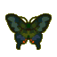 Peacock butterfly