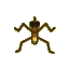 Pondskater