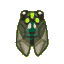 Robust cicada