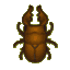Saw stag beetle