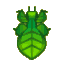 Walking leaf
