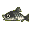 Barbel steed