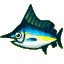 Blue marlin