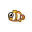 Clownfish