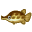 Gar