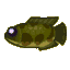 Giant snakehead
