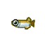 Killifish