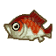 Koi