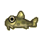 Loach
