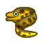 Moray eel