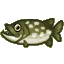 Pike