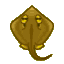Ray