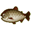 Stringfish