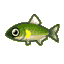 Sweetfish