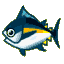 Tuna