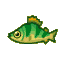 Yellow perch