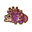 Zebra turkeyfish