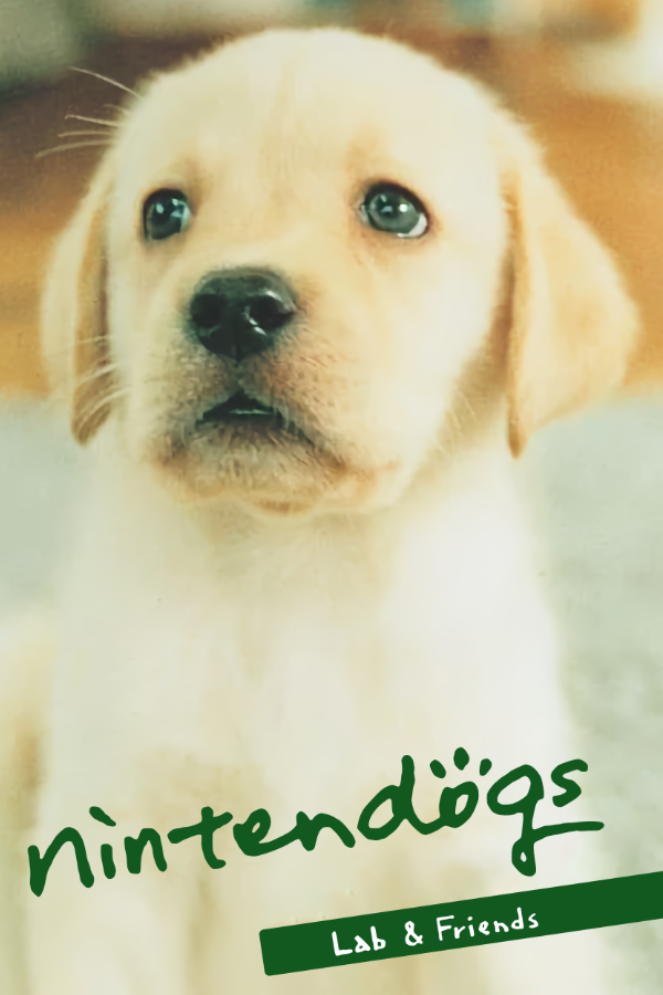 Cover for Nintendogs: Labrador & Friends