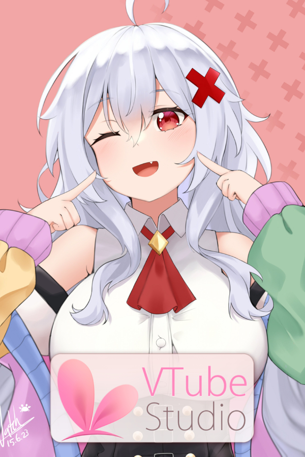Cover for VTube Studio